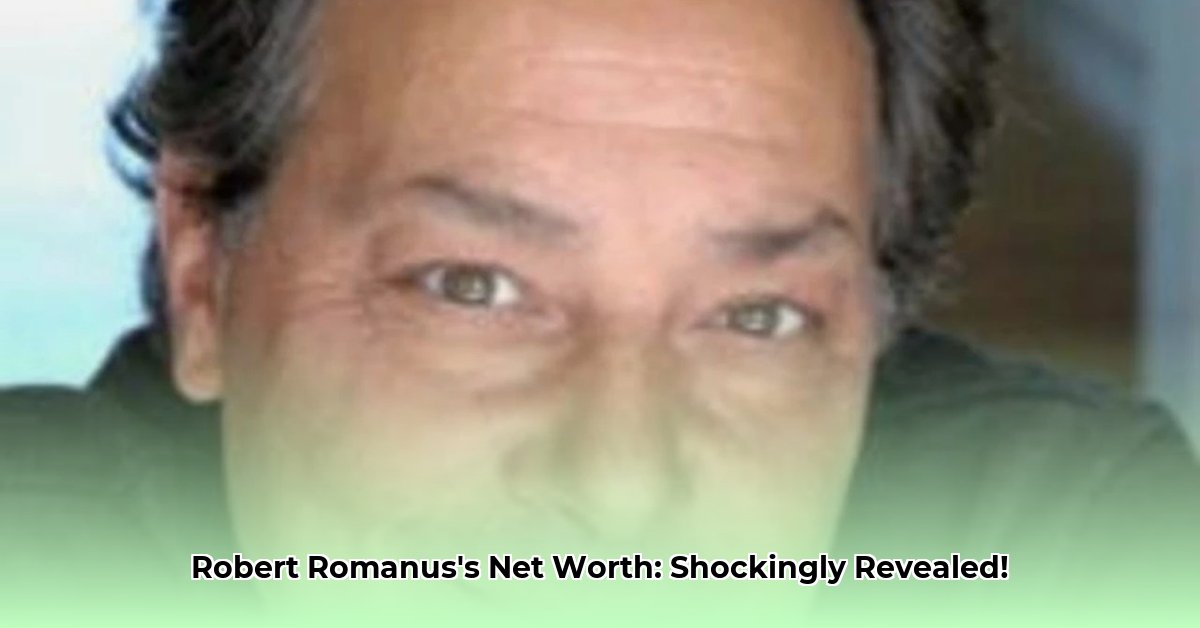 robert-romanus-net-worth